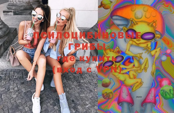 винт Нягань