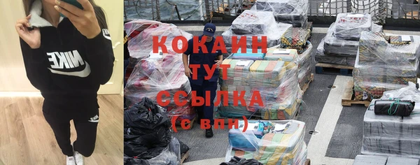соль ск Новодвинск