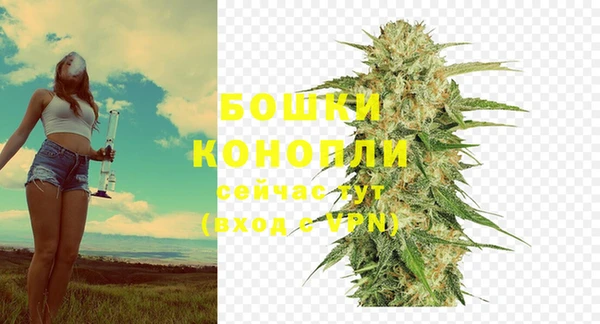 первитин Новозыбков
