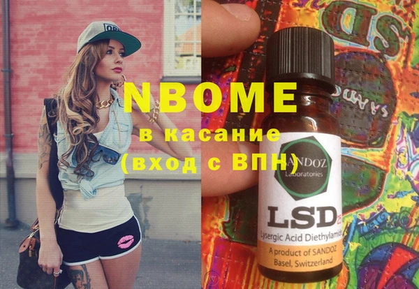 соль ск Новодвинск