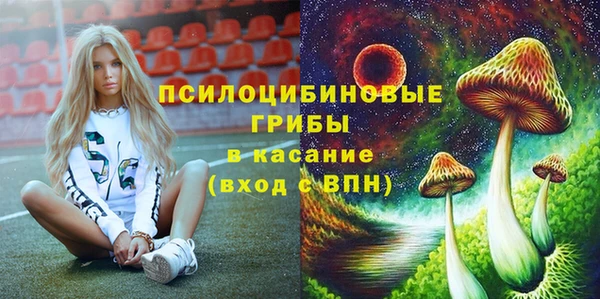 mdma Няндома